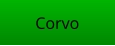 Corvo