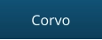 Corvo